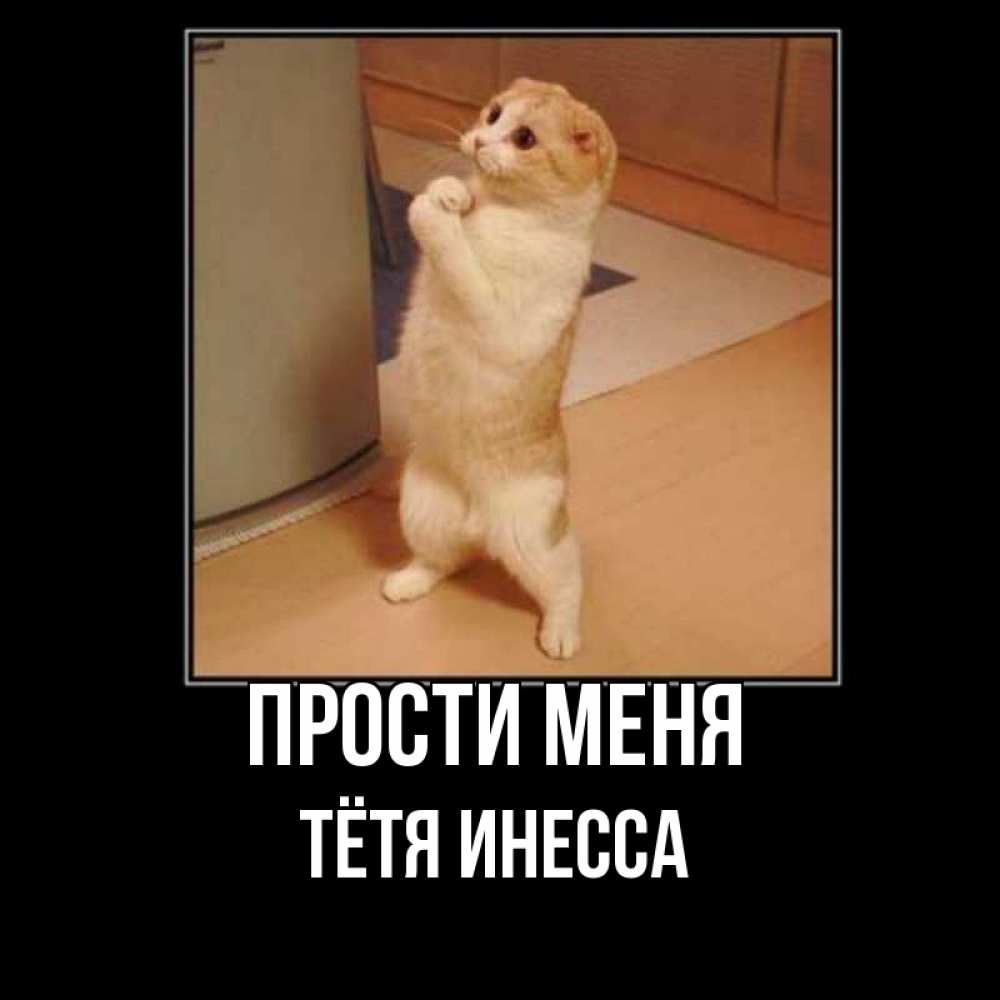 Открытка на каждый день с именем, Тётя-Инесса Прости меня открытка с милым несчастным котиком просящим прощения Прикольная открытка с пожеланием онлайн скачать бесплатно 