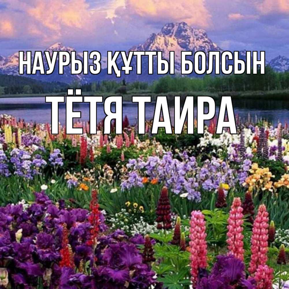 Открытка на каждый день с именем, Тётя-Таира Наурыз құтты болсын наурыз Прикольная открытка с пожеланием онлайн скачать бесплатно 