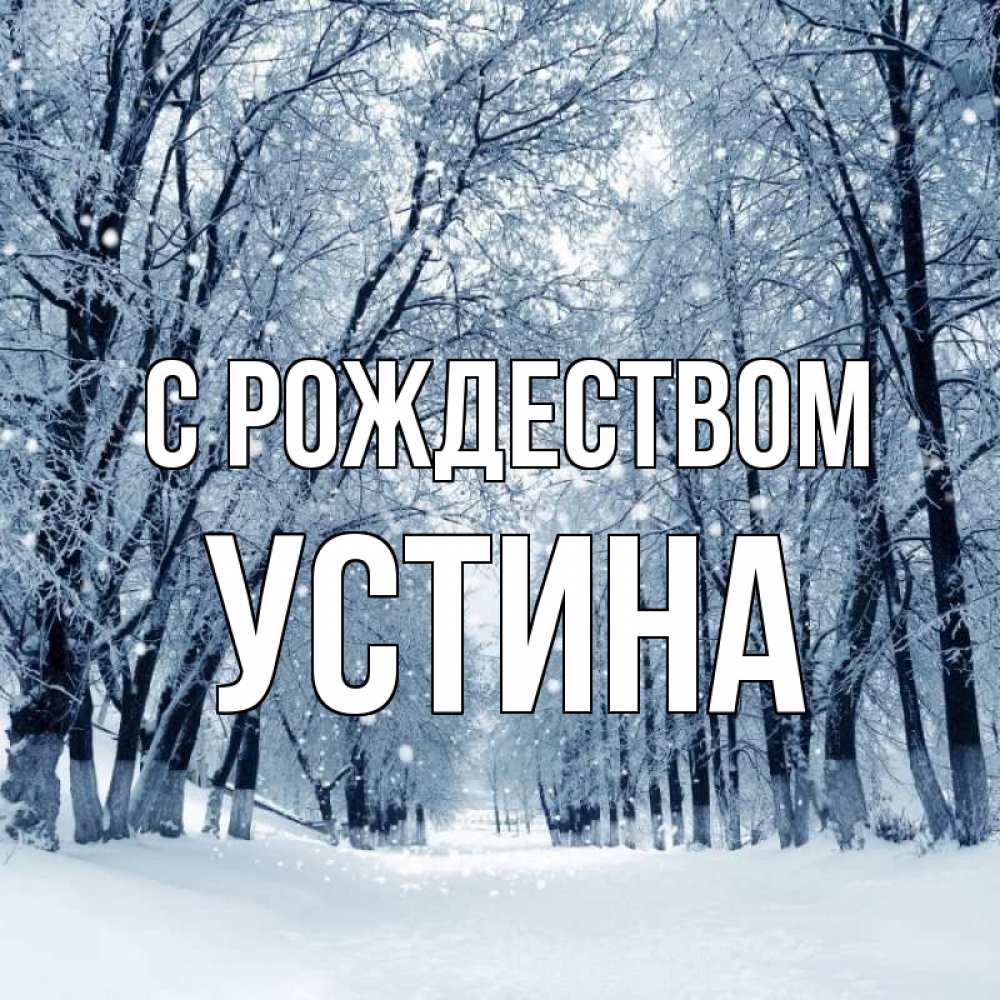 Открытка на каждый день с именем, Устина С рождеством снег, лес, парк Прикольная открытка с пожеланием онлайн скачать бесплатно 
