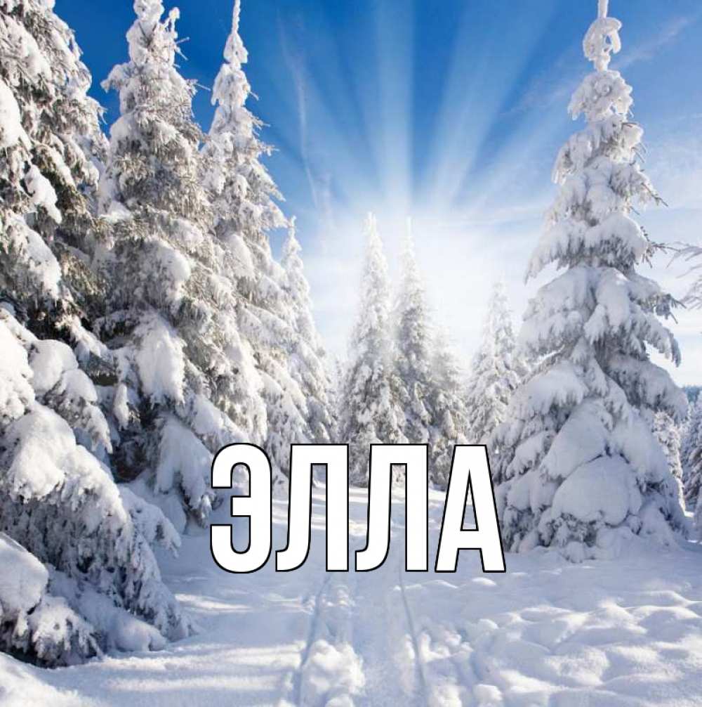 Открытка на каждый день с именем, Элла Главная зима, лес Прикольная открытка с пожеланием онлайн скачать бесплатно 