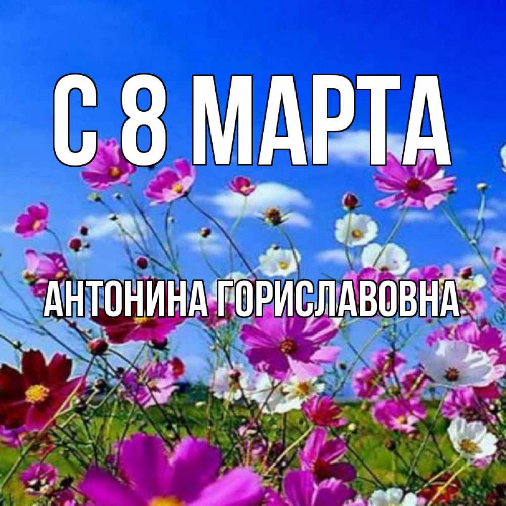 Открытка на каждый день с именем, Антонина-Гориславовна С 8 марта цветы Прикольная открытка с пожеланием онлайн скачать бесплатно 