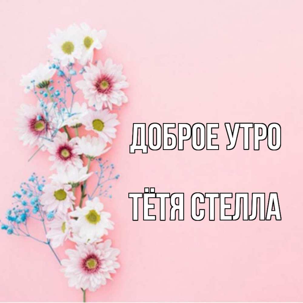 Открытка на каждый день с именем, Тётя-Стелла Доброе утро цветы с подписью Прикольная открытка с пожеланием онлайн скачать бесплатно 