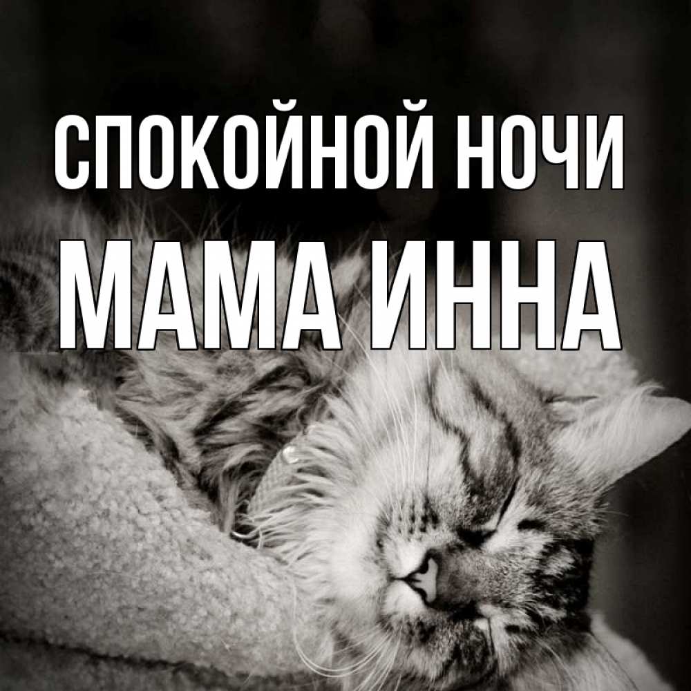 Открытка на каждый день с именем, Мама-Инна Спокойной ночи котярик пушистый Прикольная открытка с пожеланием онлайн скачать бесплатно 