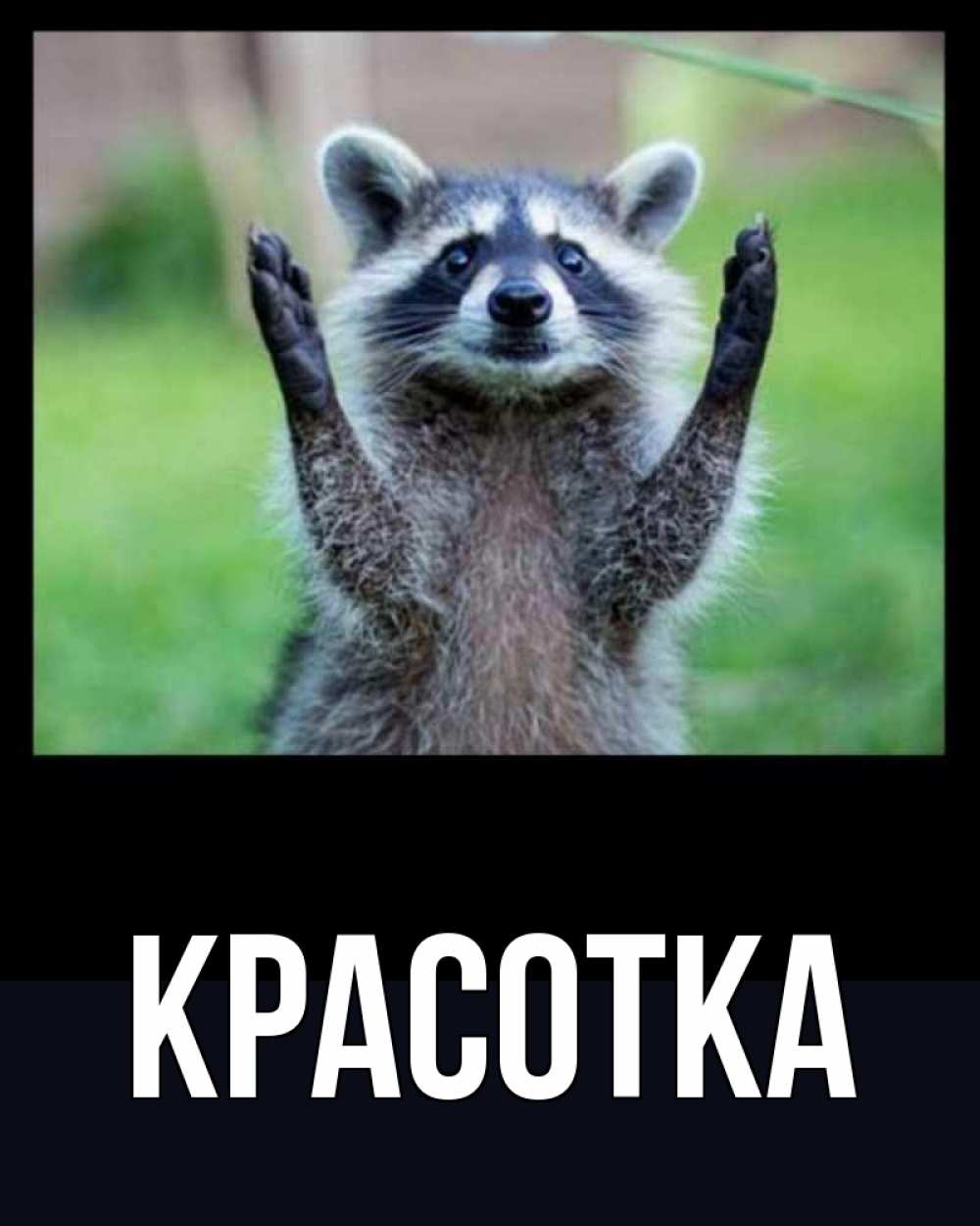 Открытка на каждый день с именем, красотка Главная хорошее настроение утречком Прикольная открытка с пожеланием онлайн скачать бесплатно 