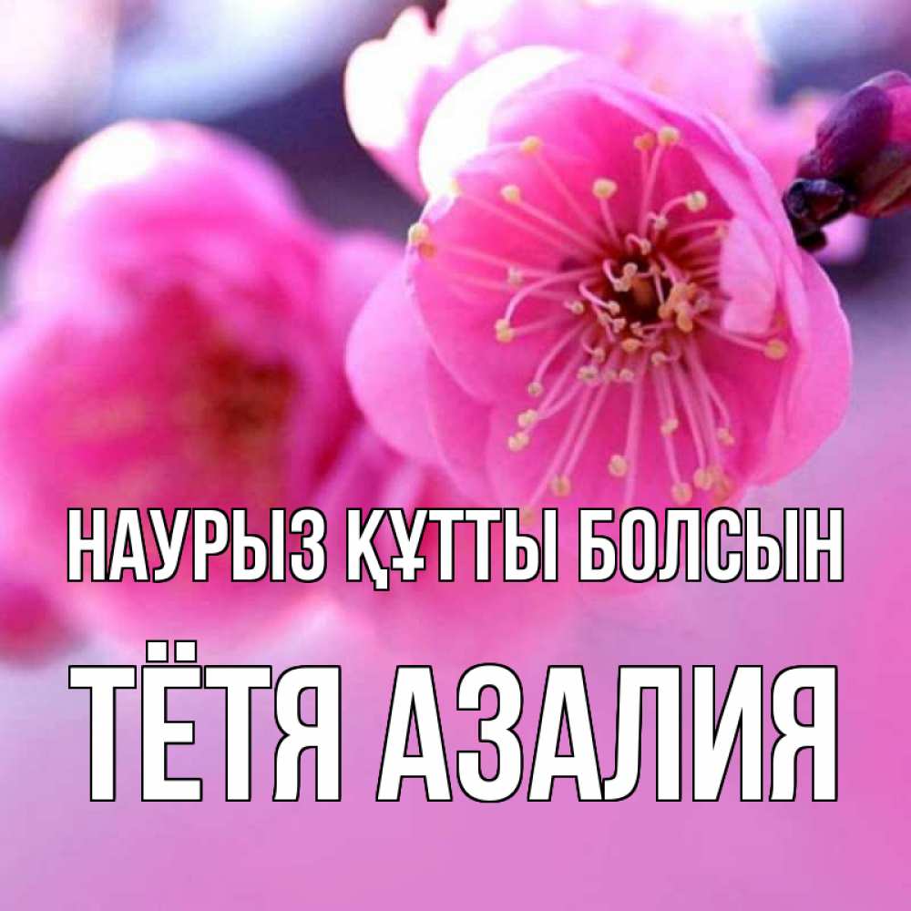 Открытка на каждый день с именем, Тётя-Азалия Наурыз құтты болсын наурыз мейрам Прикольная открытка с пожеланием онлайн скачать бесплатно 