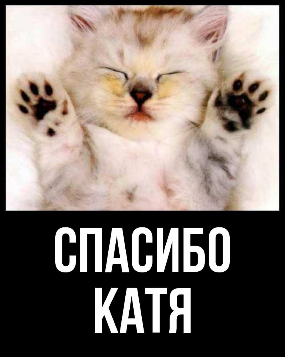 Спасибо катя картинки