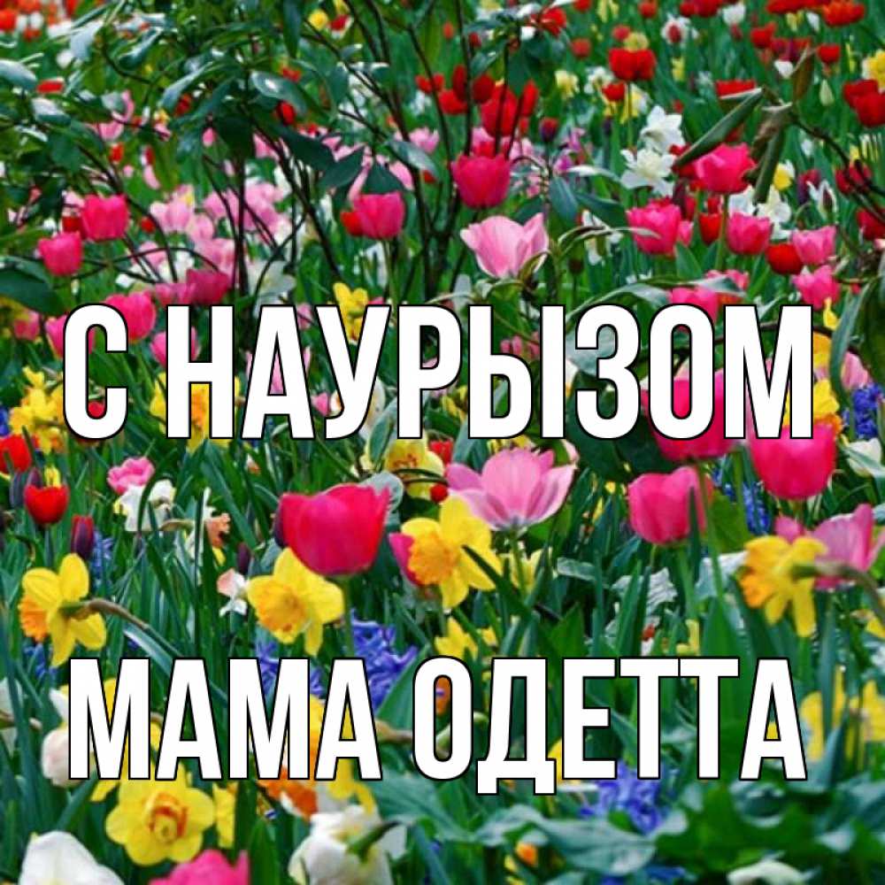 Открытка на каждый день с именем, Мама-Одетта С наурызом с наурызом праздником весны поздравления для женщины Прикольная открытка с пожеланием онлайн скачать бесплатно 