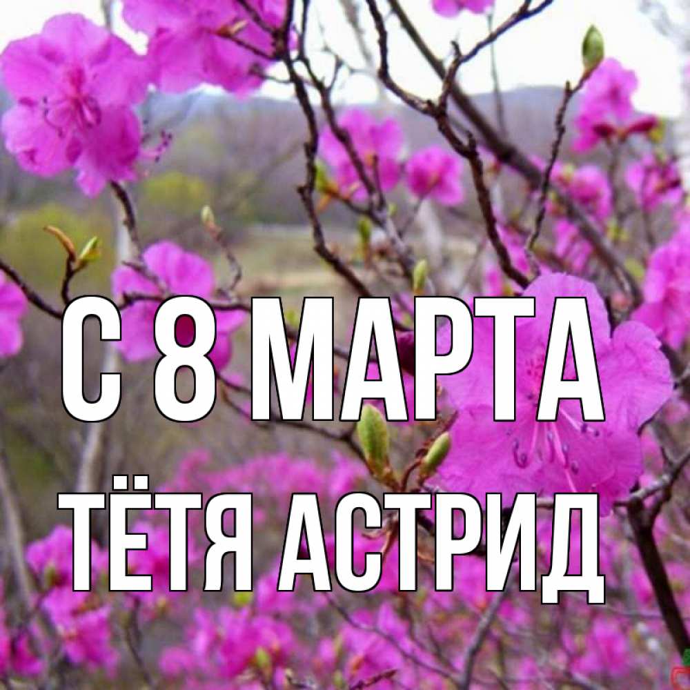 Открытка на каждый день с именем, Тётя-Астрид С 8 марта международный женский день Прикольная открытка с пожеланием онлайн скачать бесплатно 