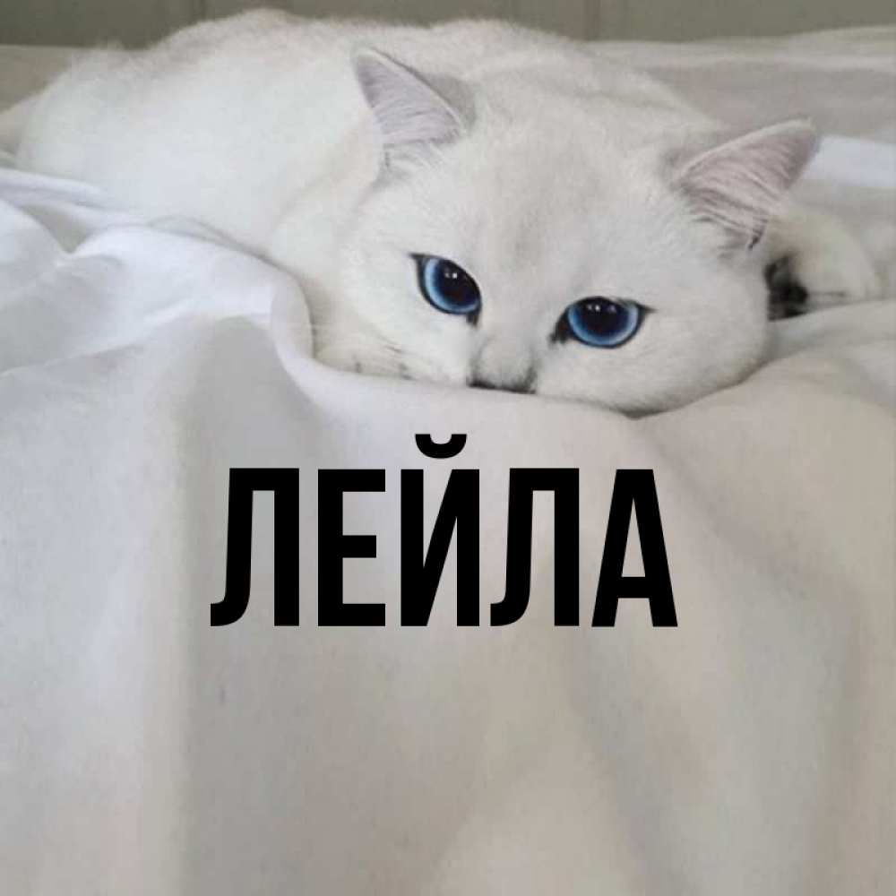 Картинка с именем лейла
