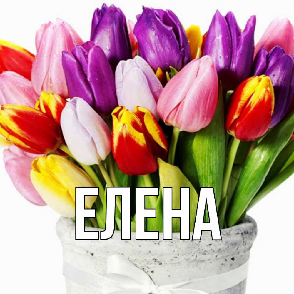 Открытка на каждый день с именем, Елена Главная букет Прикольная открытка с пожеланием онлайн скачать бесплатно 