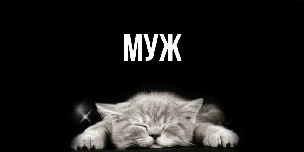 Открытка на каждый день с именем, муж Главная спящий котик Прикольная открытка с пожеланием онлайн скачать бесплатно 