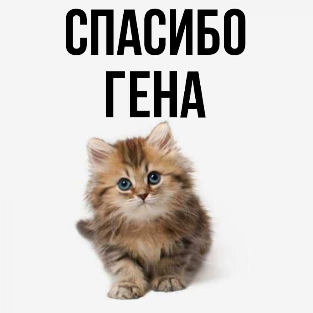 Картинка с именем гена