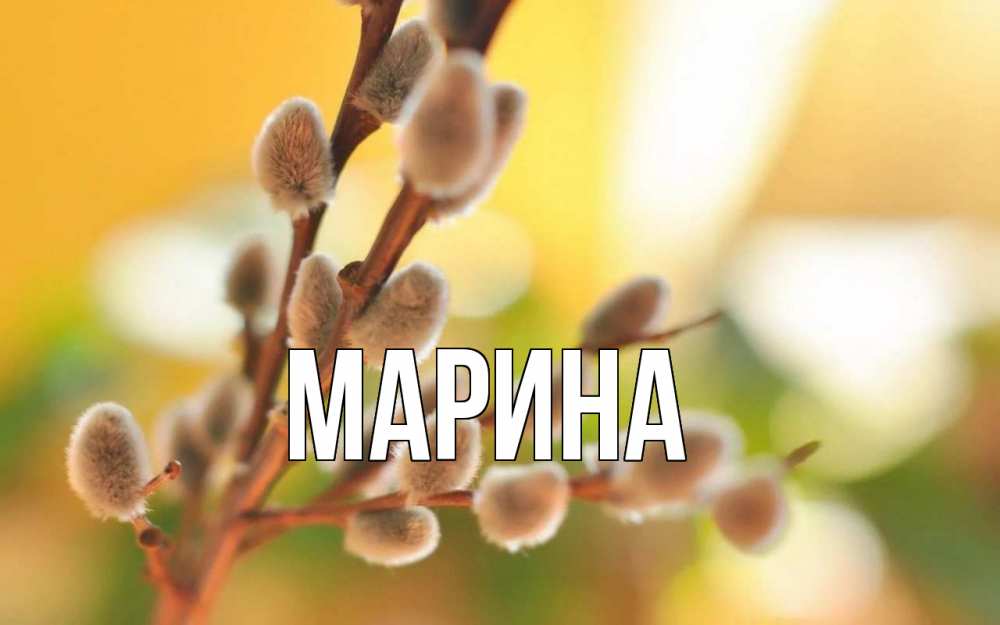 Открытка на каждый день с именем, Марина Главная верба Прикольная открытка с пожеланием онлайн скачать бесплатно 