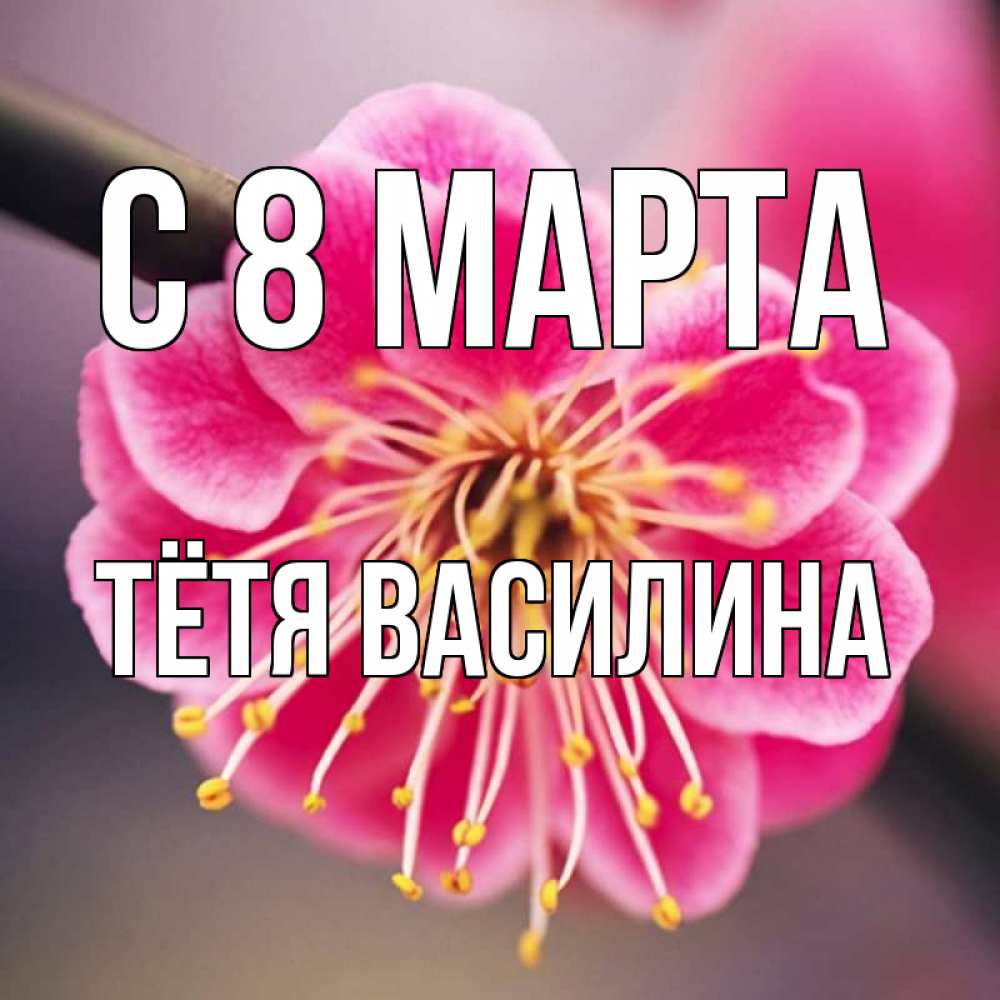 Открытка на каждый день с именем, Тётя-Василина С 8 МАРТА цветы Прикольная открытка с пожеланием онлайн скачать бесплатно 