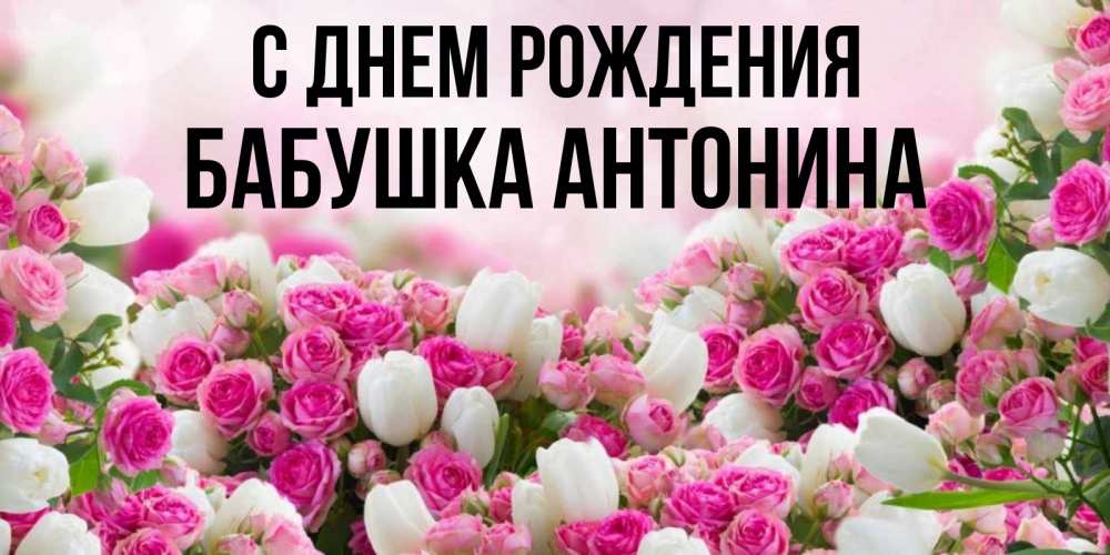 Открытка на каждый день с именем, Бабушка-Антонина С днем рождения открытка с разными розами Прикольная открытка с пожеланием онлайн скачать бесплатно 