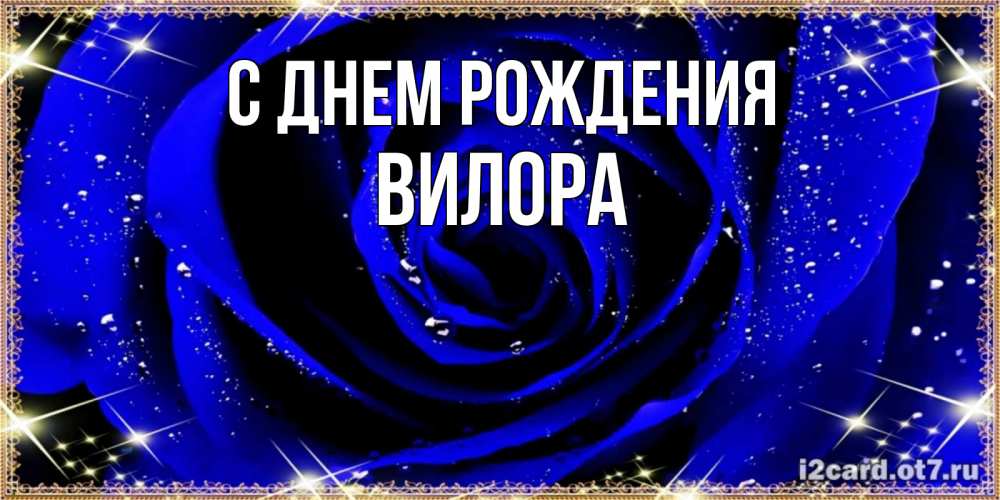 Открытка на каждый день с именем, Вилора С днем рождения голубые цветы в росе Прикольная открытка с пожеланием онлайн скачать бесплатно 