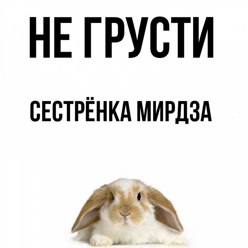 Открытка на каждый день с именем, Сестрёнка-Мирдза Не грусти коричнево белый заяц с большими ушками Прикольная открытка с пожеланием онлайн скачать бесплатно 