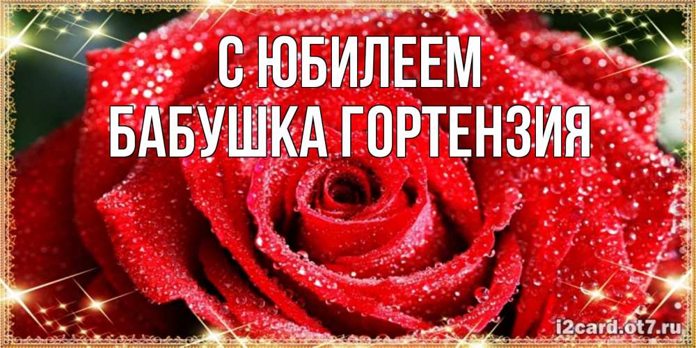 Открытка на каждый день с именем, Бабушка-Гортензия С юбилеем роса и роза. открытка с красивой розой Прикольная открытка с пожеланием онлайн скачать бесплатно 