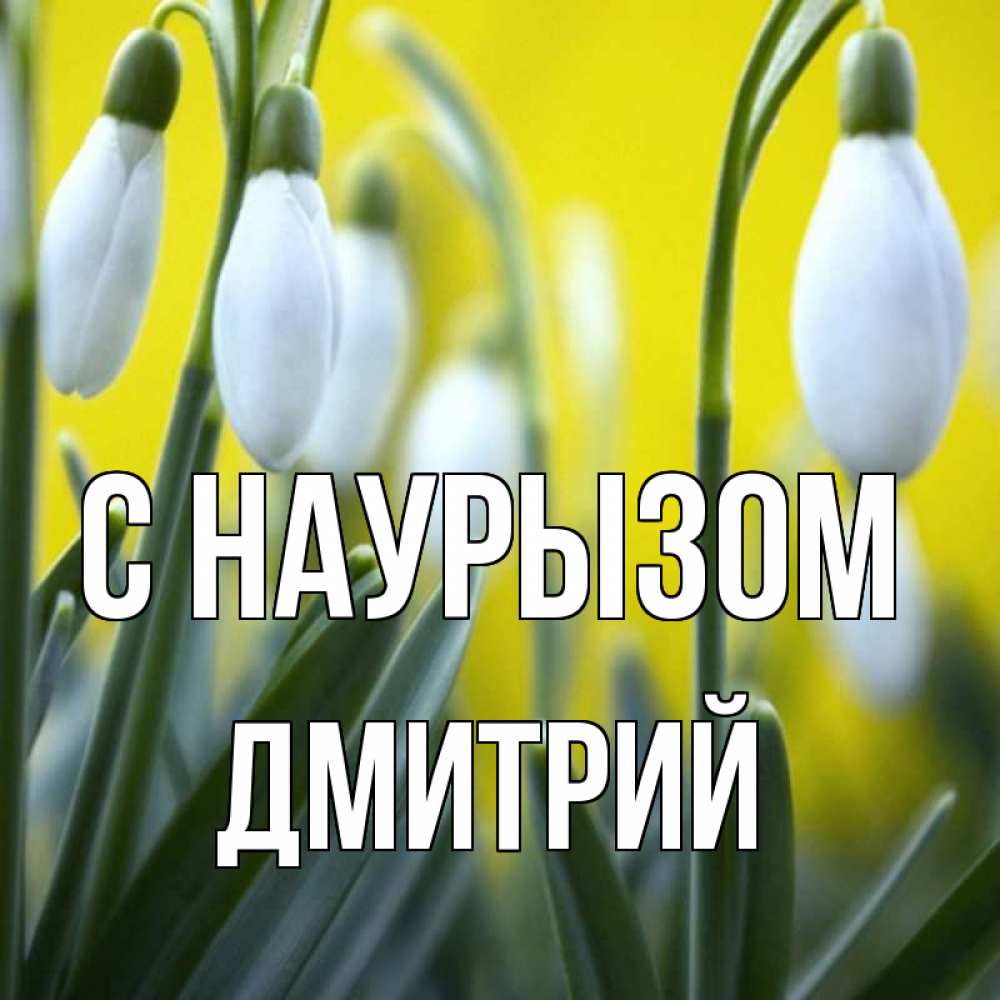 Открытка на каждый день с именем, Дмитрий С наурызом весенние цветы Прикольная открытка с пожеланием онлайн скачать бесплатно 