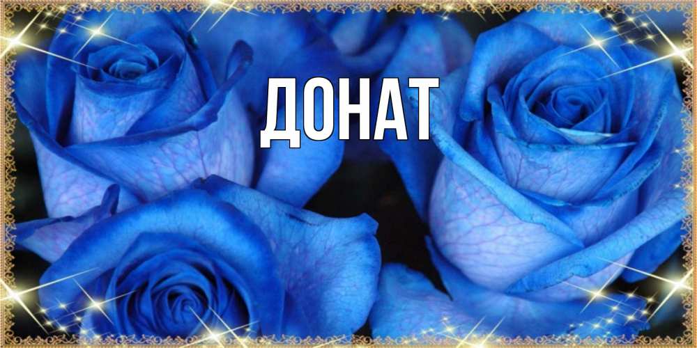 Открытка на каждый день с именем, Донат Главная красивые розы для милых дам на международный праздник весны наурыз Прикольная открытка с пожеланием онлайн скачать бесплатно 
