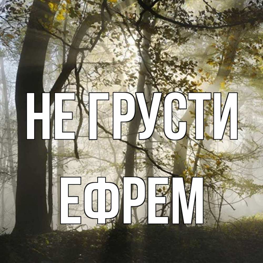 Открытка на каждый день с именем, Ефрем Не грусти лес и свет Прикольная открытка с пожеланием онлайн скачать бесплатно 