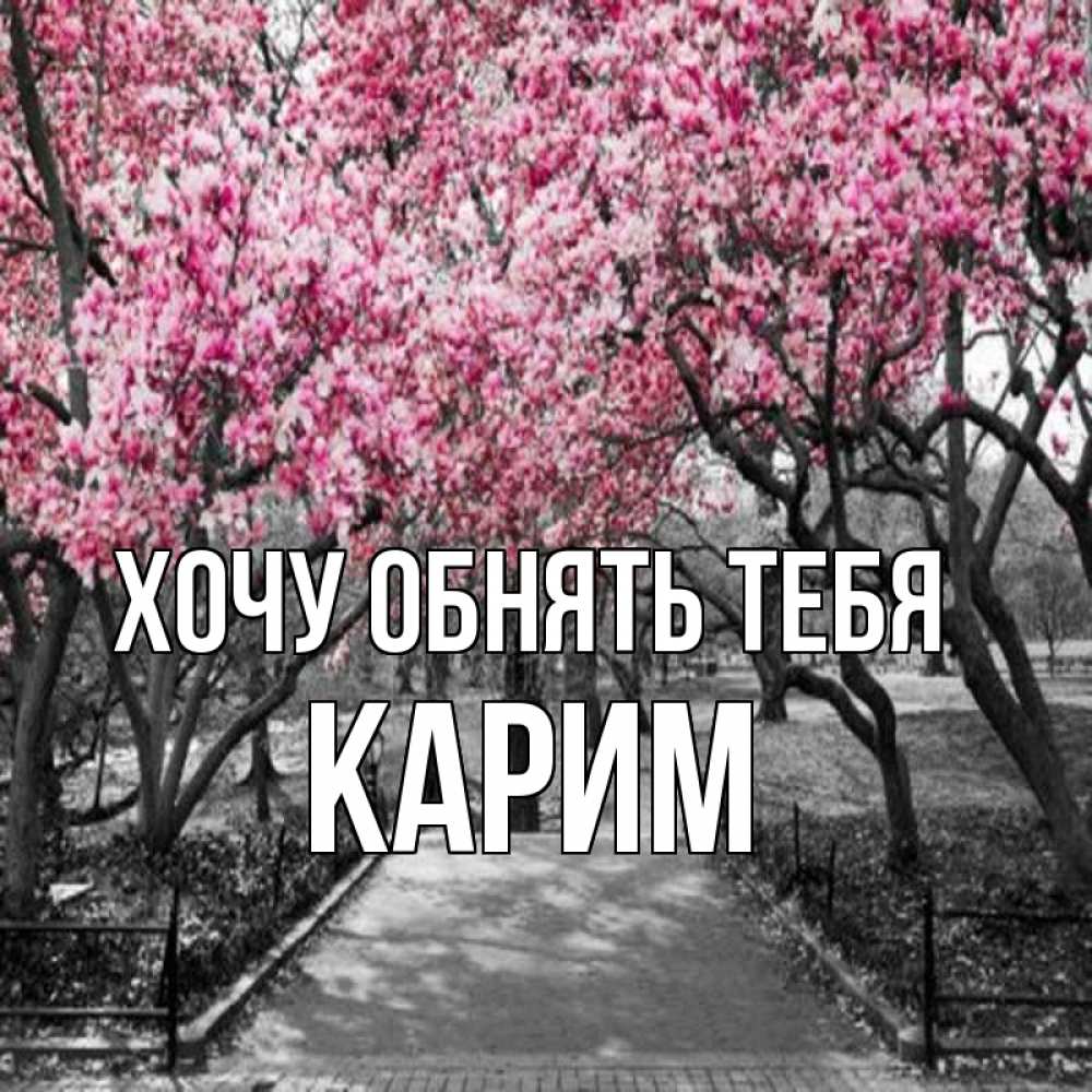 Открытка на каждый день с именем, Карим Хочу обнять тебя обработанное фото Прикольная открытка с пожеланием онлайн скачать бесплатно 