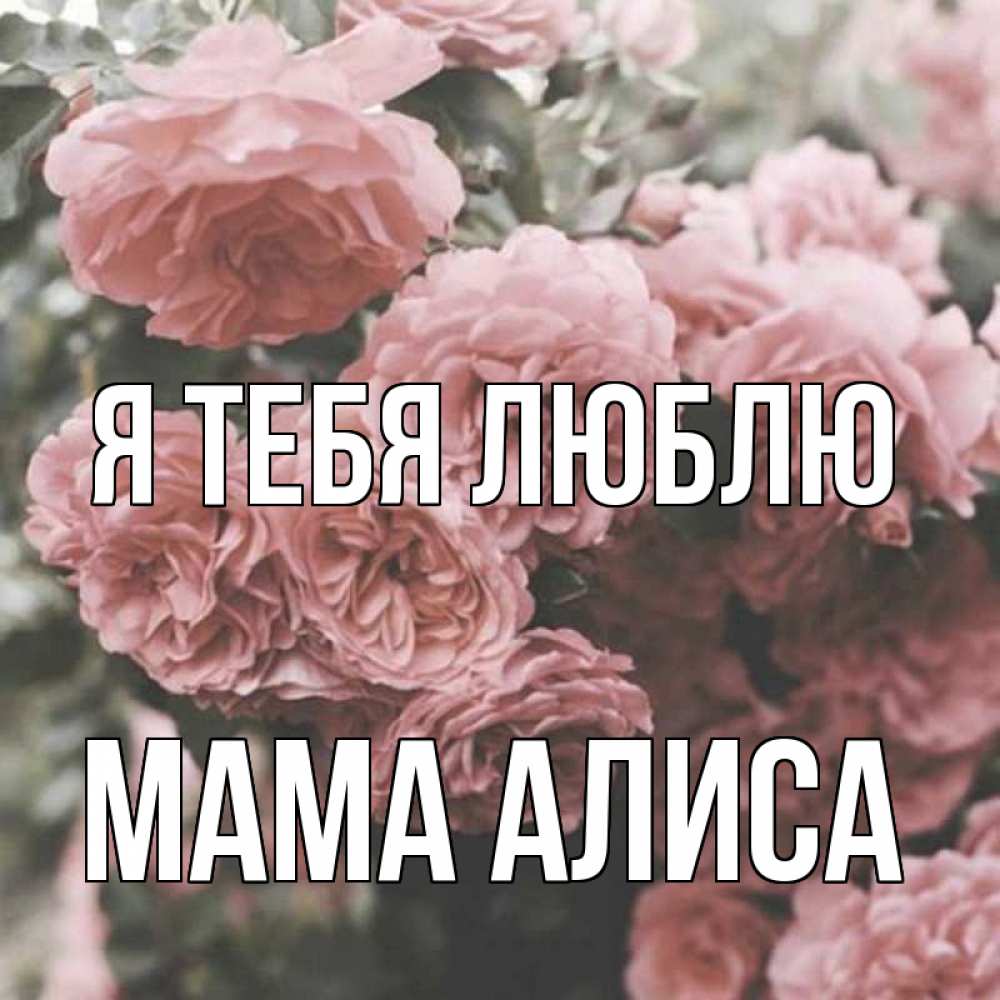 Открытка на каждый день с именем, Мама-Алиса Я тебя люблю розы 3 Прикольная открытка с пожеланием онлайн скачать бесплатно 