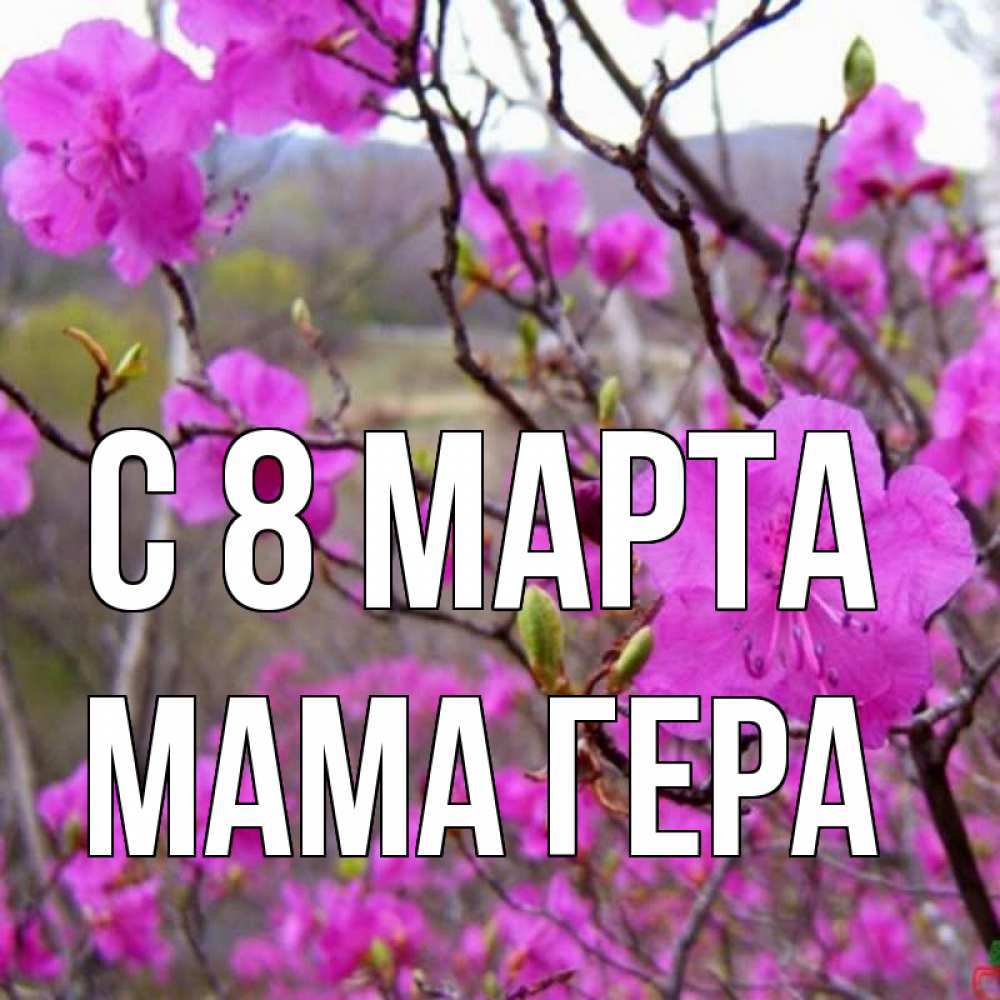 Открытка на каждый день с именем, Мама-Гера С 8 марта международный женский день Прикольная открытка с пожеланием онлайн скачать бесплатно 