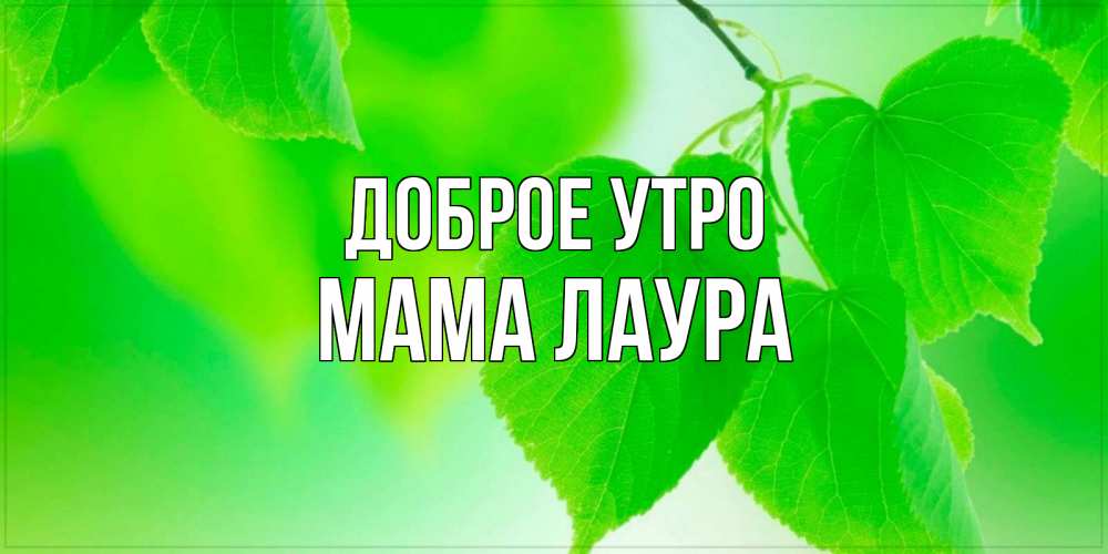 Открытка на каждый день с именем, Мама-Лаура Доброе утро доброе утро с березовыми листьями Прикольная открытка с пожеланием онлайн скачать бесплатно 