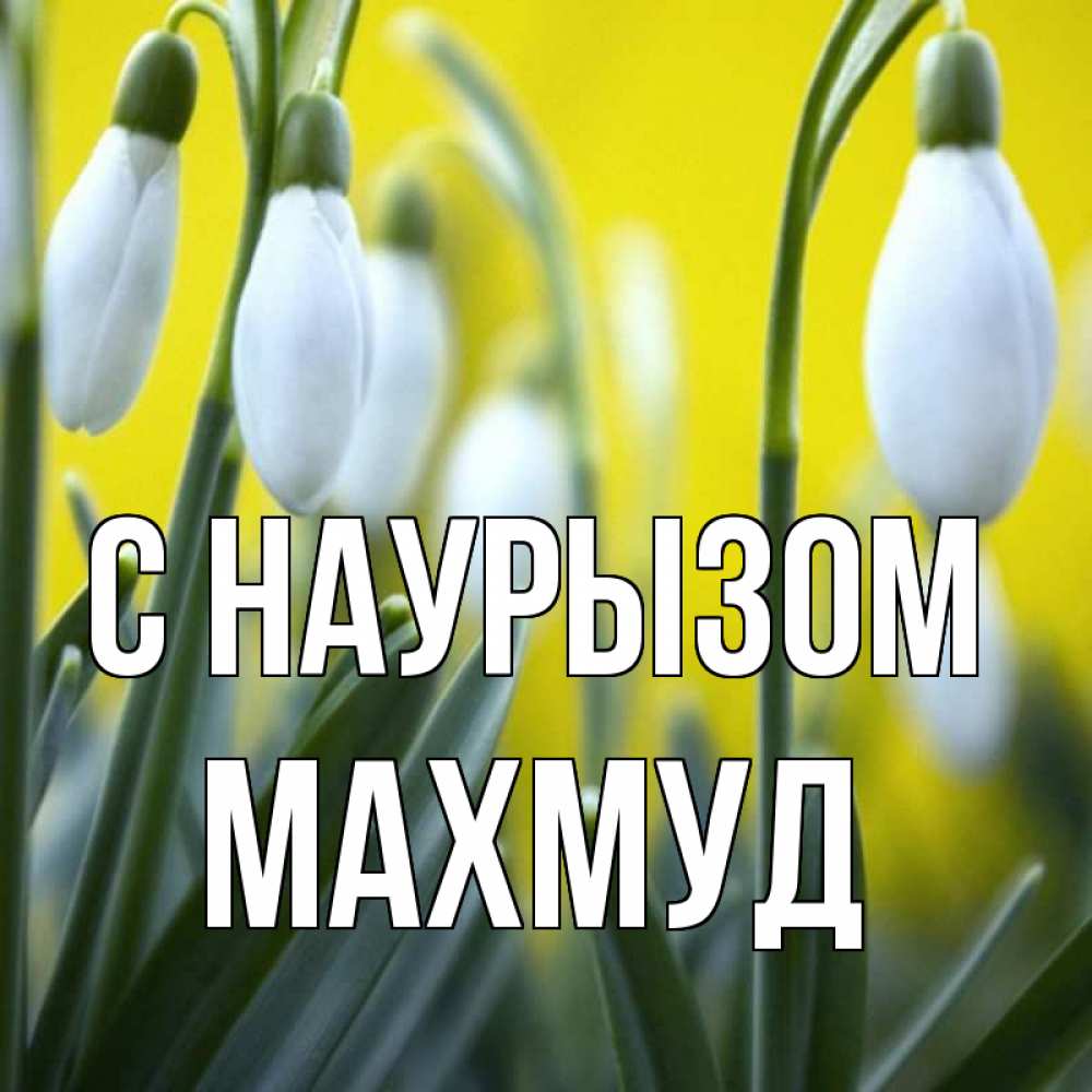 Открытка на каждый день с именем, Махмуд С наурызом весенние цветы Прикольная открытка с пожеланием онлайн скачать бесплатно 