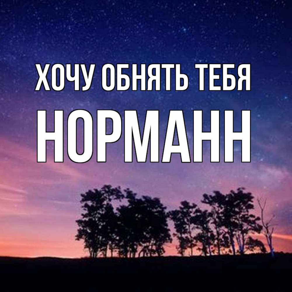 Открытка на каждый день с именем, Норманн Хочу обнять тебя силуэты деревьев Прикольная открытка с пожеланием онлайн скачать бесплатно 