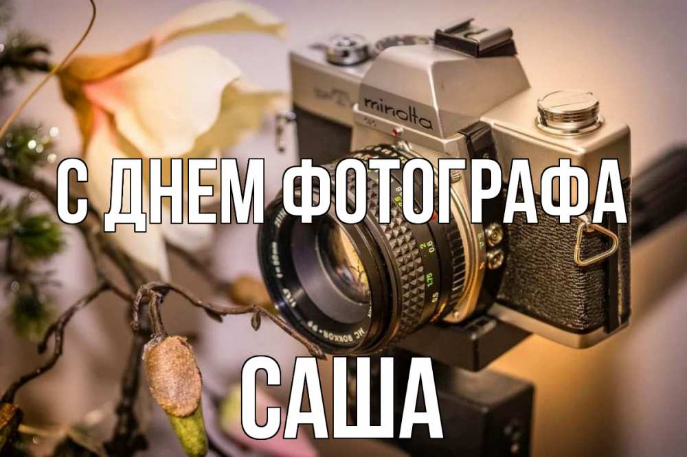 Открытка на каждый день с именем, Саша С днем фотографа с днем фотографа 1 Прикольная открытка с пожеланием онлайн скачать бесплатно 