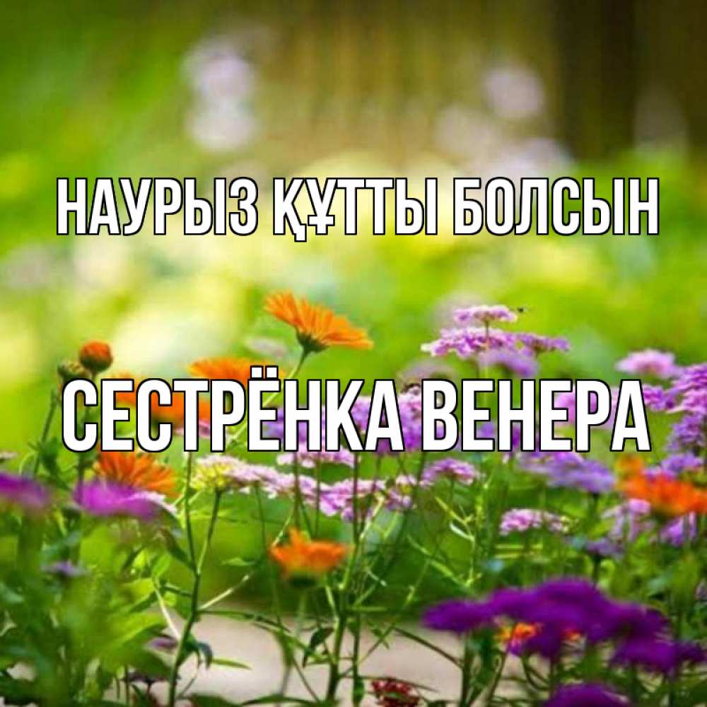 Открытка на каждый день с именем, Сестрёнка-Венера Наурыз құтты болсын цветы Прикольная открытка с пожеланием онлайн скачать бесплатно 