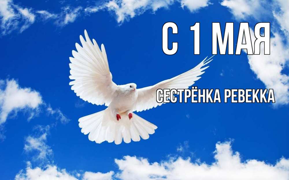 Открытка на каждый день с именем, Сестрёнка-Ревекка С 1 мая С 1 мая 1 Прикольная открытка с пожеланием онлайн скачать бесплатно 