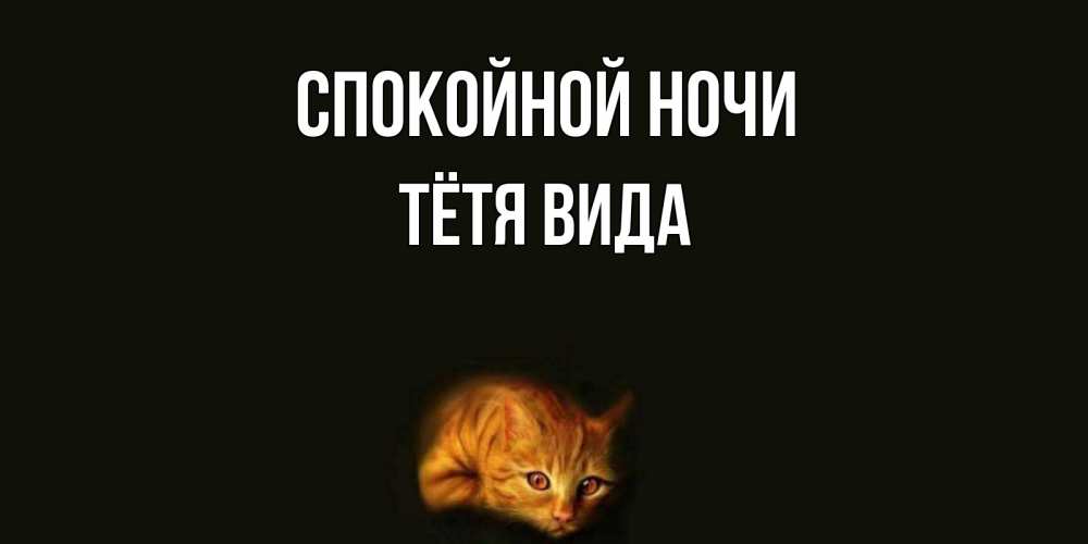 Открытка на каждый день с именем, Тётя-Вида Спокойной ночи кот Прикольная открытка с пожеланием онлайн скачать бесплатно 