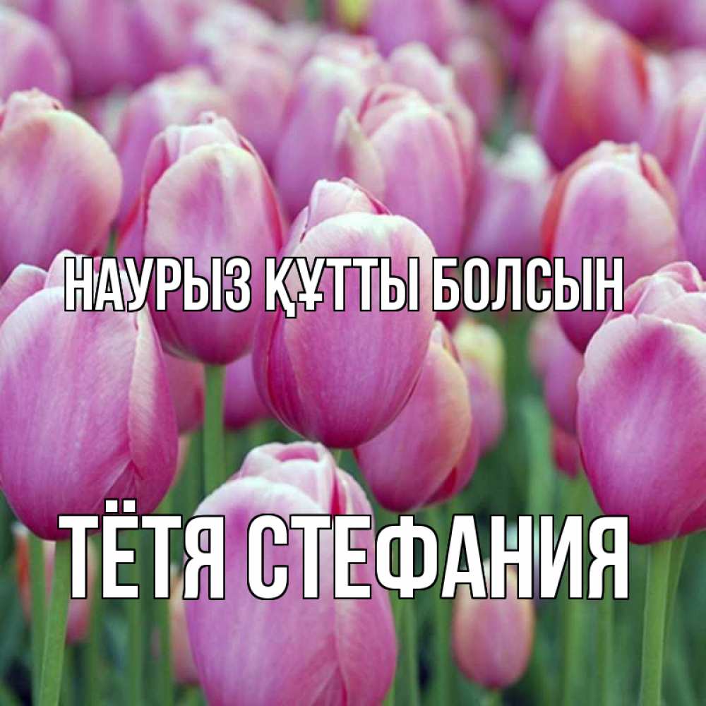 Открытка на каждый день с именем, Тётя-Стефания Наурыз құтты болсын на наурыз  день 3 Прикольная открытка с пожеланием онлайн скачать бесплатно 