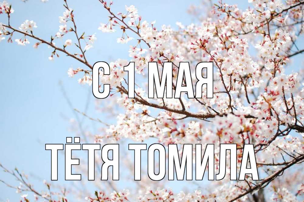 Открытка на каждый день с именем, Тётя-Томила С 1 мая С 1 мая Прикольная открытка с пожеланием онлайн скачать бесплатно 