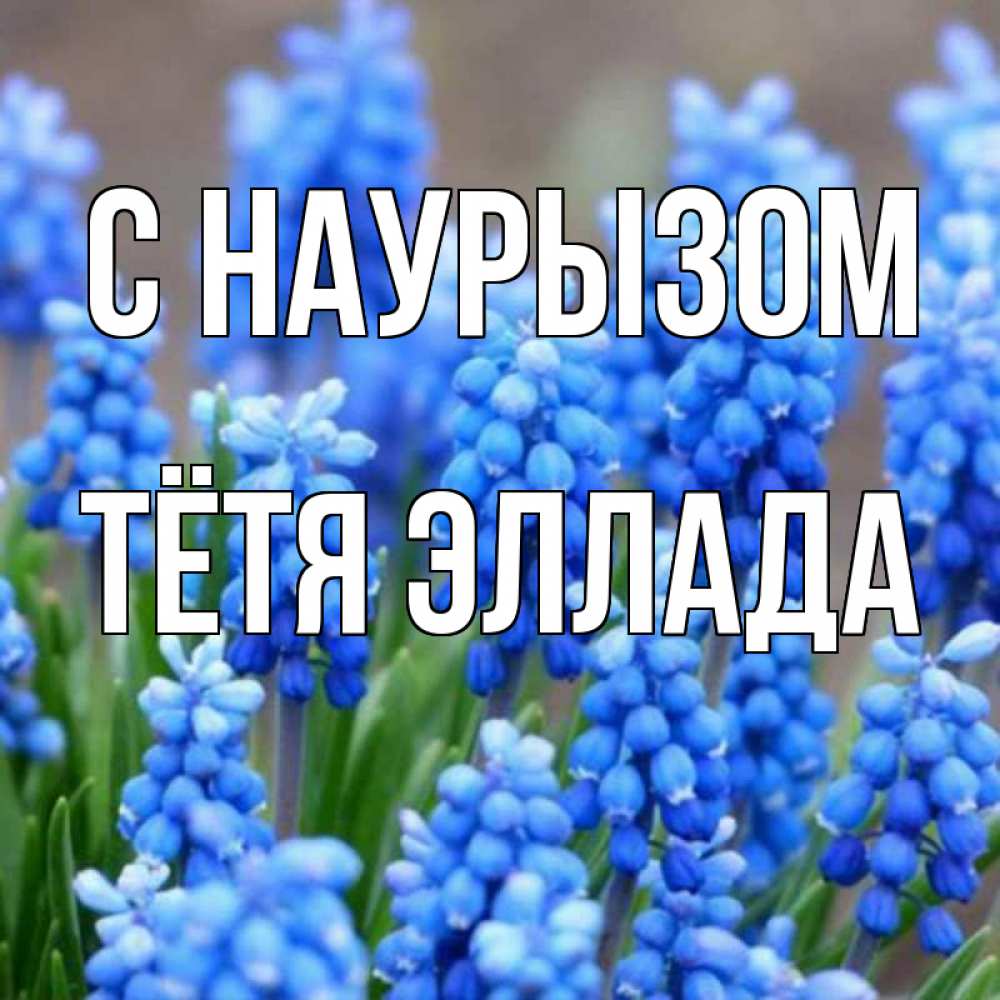 Открытка на каждый день с именем, Тётя-Эллада С наурызом Поздравительная открытка для женщин с цветами на праздничную дату Прикольная открытка с пожеланием онлайн скачать бесплатно 