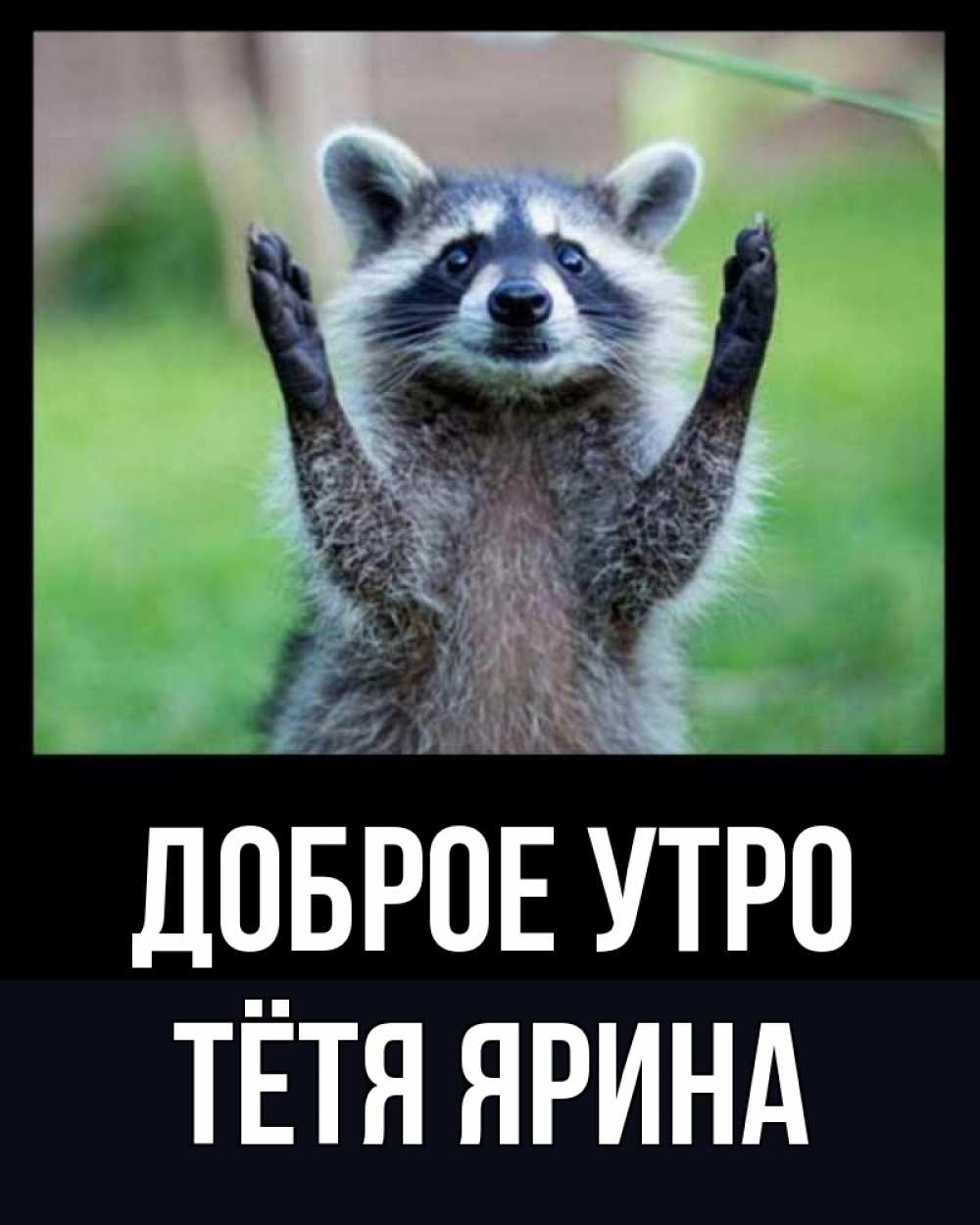 Открытка на каждый день с именем, Тётя-Ярина Доброе утро хорошее настроение утречком Прикольная открытка с пожеланием онлайн скачать бесплатно 