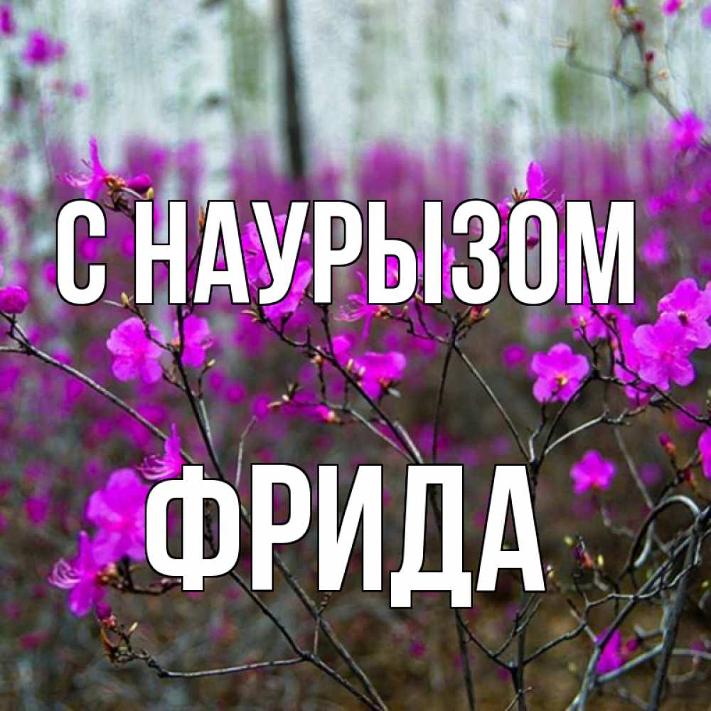 Открытка на каждый день с именем, Фрида С наурызом дикие цветы Прикольная открытка с пожеланием онлайн скачать бесплатно 