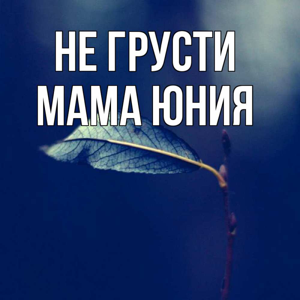 Открытка на каждый день с именем, Мама-Юния Не грусти растение Прикольная открытка с пожеланием онлайн скачать бесплатно 