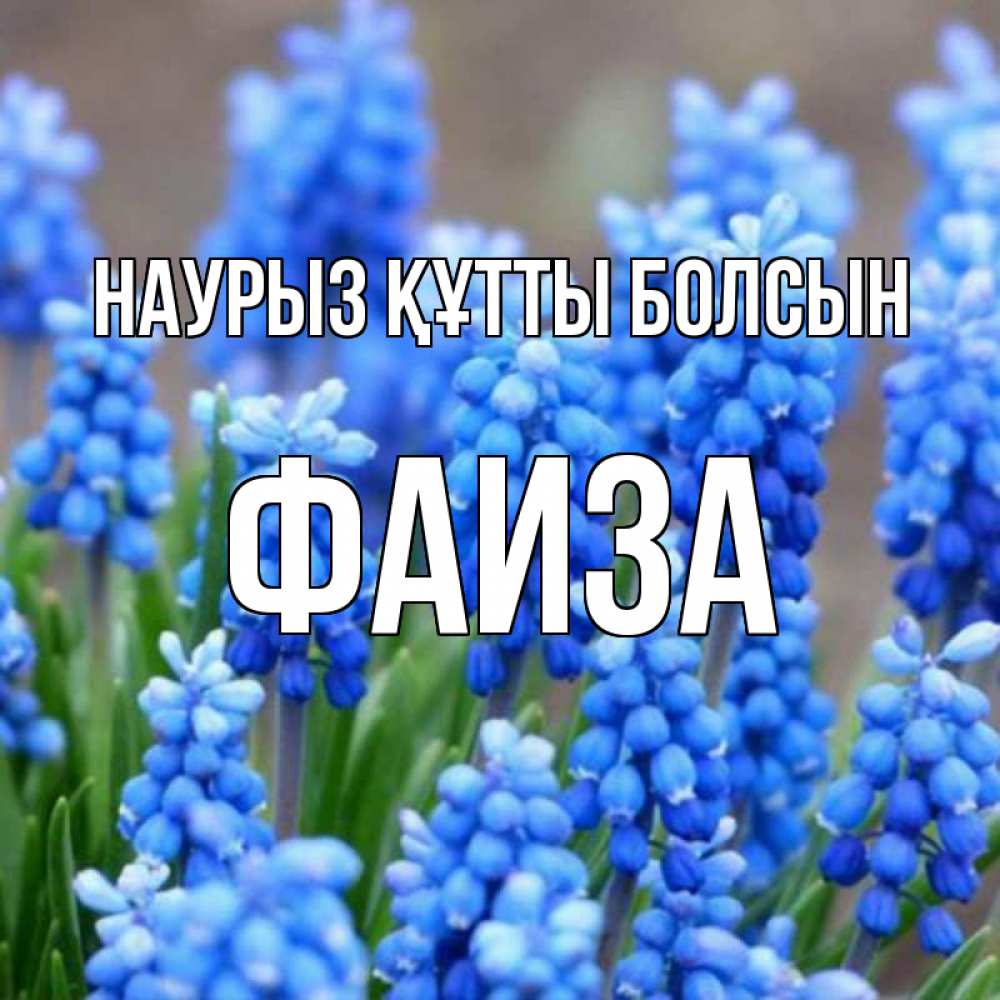 Открытка на каждый день с именем, Фаиза Наурыз құтты болсын Поздравительная открытка для женщин с цветами на праздничную дату Прикольная открытка с пожеланием онлайн скачать бесплатно 