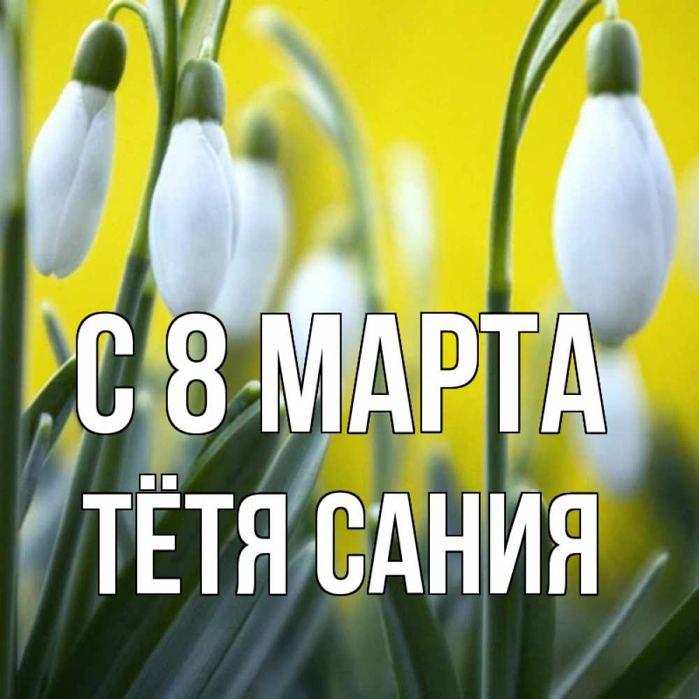 Открытка на каждый день с именем, Тётя-Сания С 8 марта весенние цветы Прикольная открытка с пожеланием онлайн скачать бесплатно 