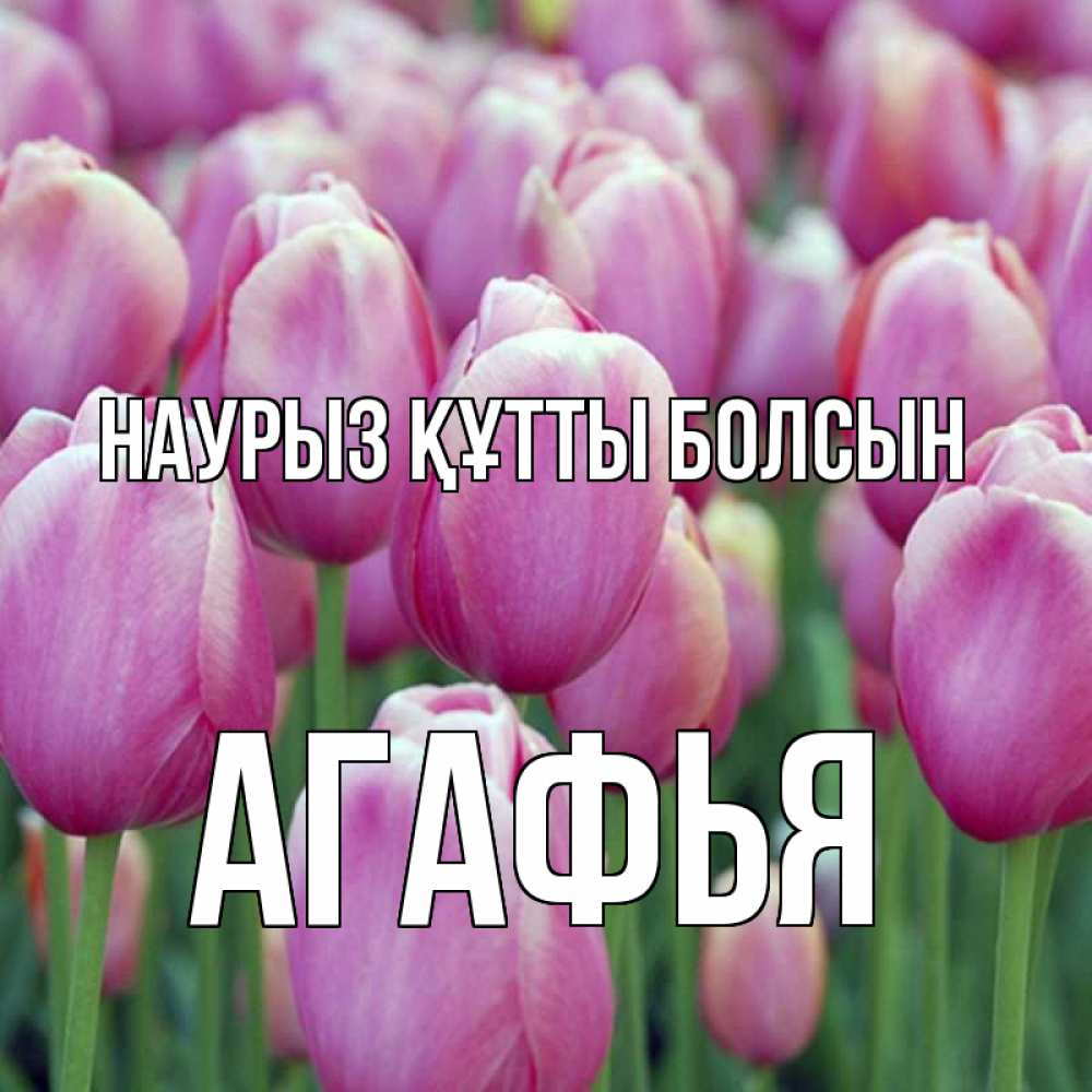 Открытка на каждый день с именем, Агафья Наурыз құтты болсын на наурыз  день 3 Прикольная открытка с пожеланием онлайн скачать бесплатно 