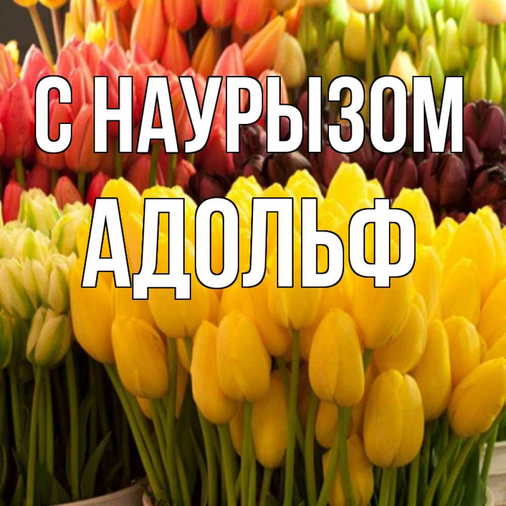 Открытка на каждый день с именем, Адольф С наурызом цветы Прикольная открытка с пожеланием онлайн скачать бесплатно 