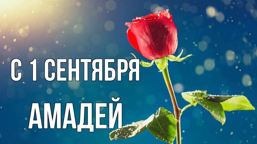 Открытка на каждый день с именем, Амадей С 1 сентября с днем знаний Прикольная открытка с пожеланием онлайн скачать бесплатно 