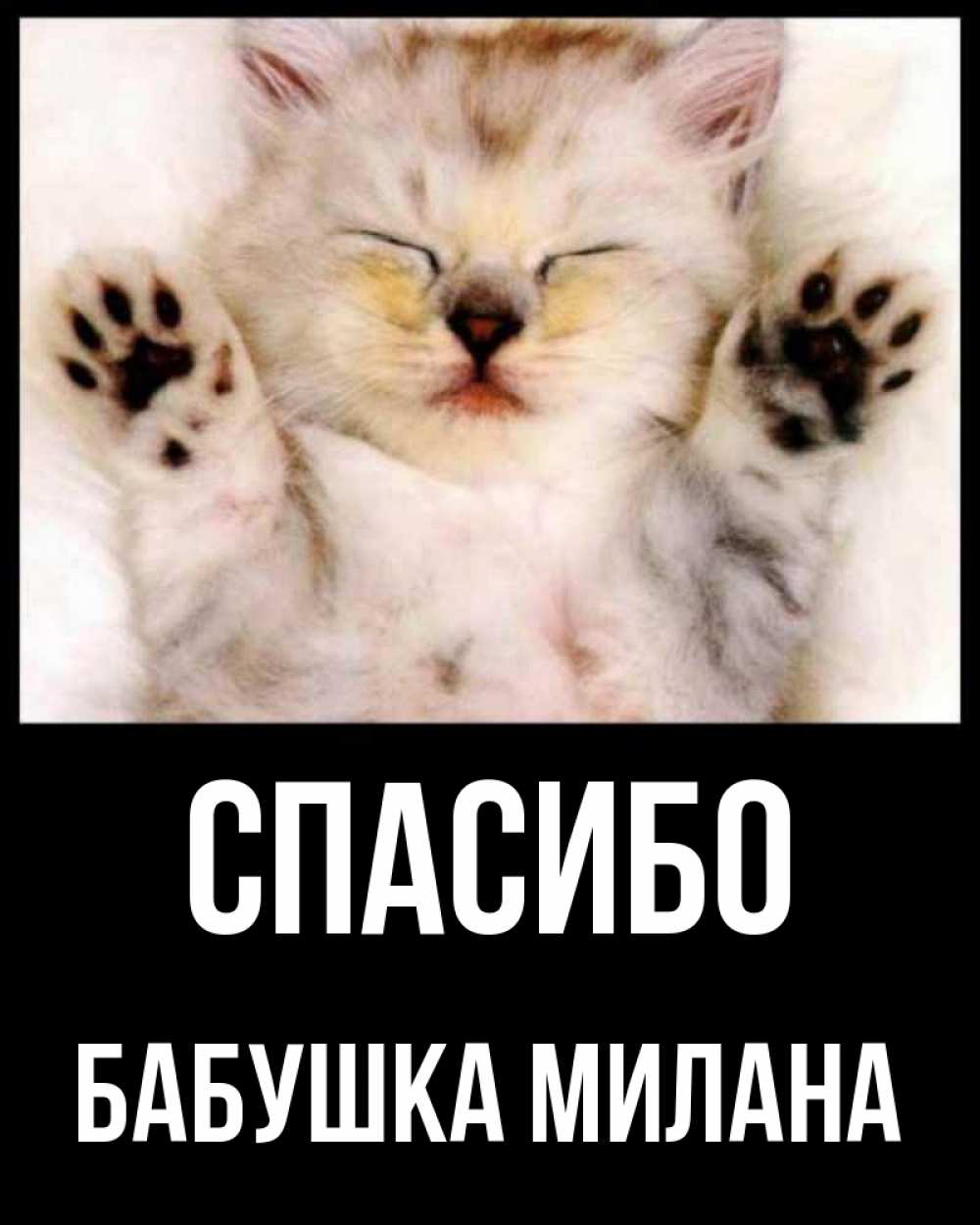 Открытка на каждый день с именем, Бабушка-Милана Спасибо маленький котенок Прикольная открытка с пожеланием онлайн скачать бесплатно 