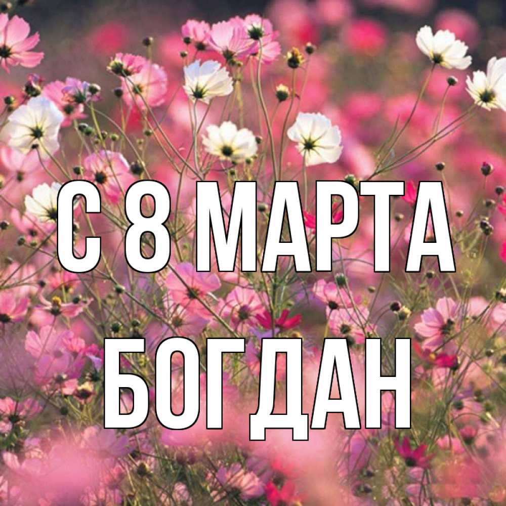 Открытка на каждый день с именем, Богдан С 8 марта красиво 1 Прикольная открытка с пожеланием онлайн скачать бесплатно 