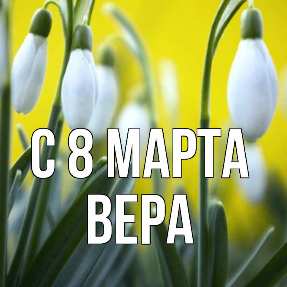 Открытка на каждый день с именем, Вера С 8 МАРТА весенние цветы Прикольная открытка с пожеланием онлайн скачать бесплатно 