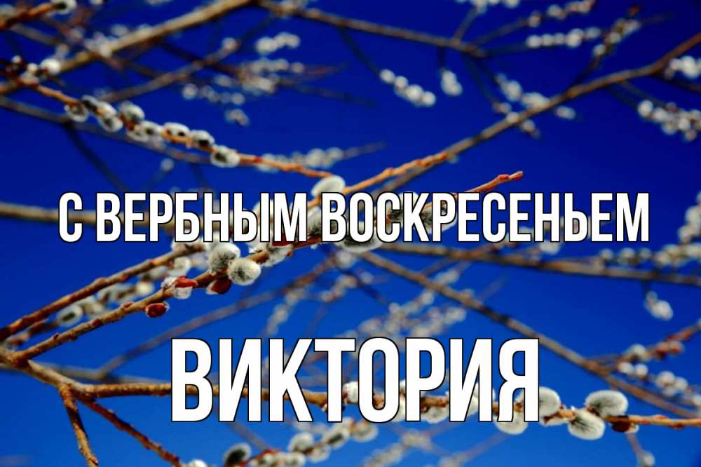 Открытка на каждый день с именем, Виктория С вербным воскресеньем верба Прикольная открытка с пожеланием онлайн скачать бесплатно 